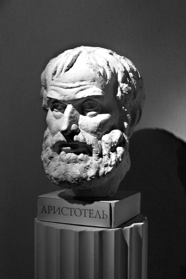 Aristotle Aristotle